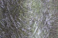 Burnett fibreglass roof work